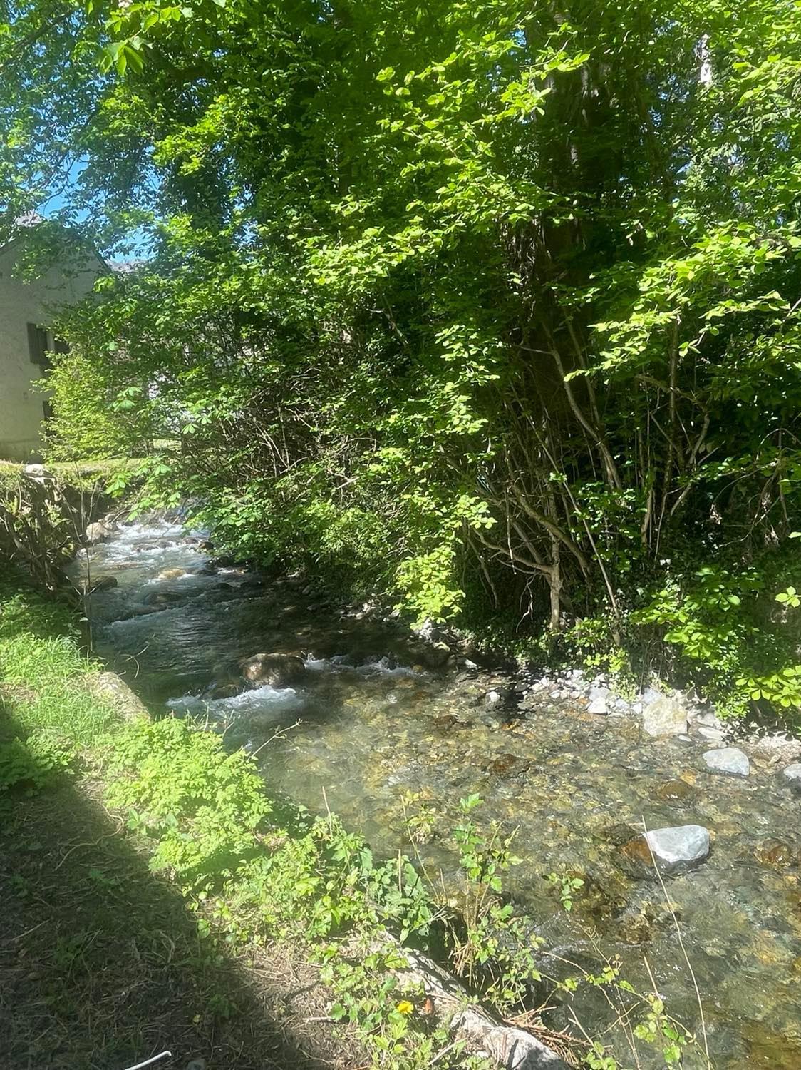 Appartement Avec Piscine En Vallee D'Ossau Bielle Exteriör bild